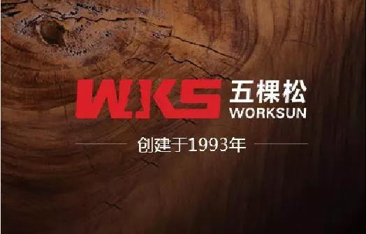 俄罗斯专享会集团助力沧州新地标---京贵大厦